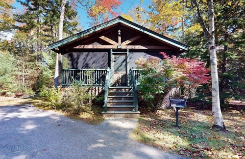 Northport Cabin | Escape to a dog-friendly cabin w/streaming, kitchen, fireplace & nature nearby