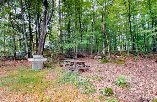 Wayne Cabin | Fantastic retreat close to lake with nearby boat access & private beach - dog OK