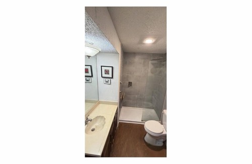Central Arlington House | FIFA World Cup House