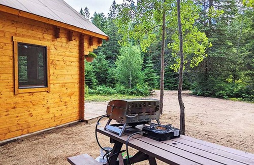 Hastings Highlands Cabin | Fox Den #3