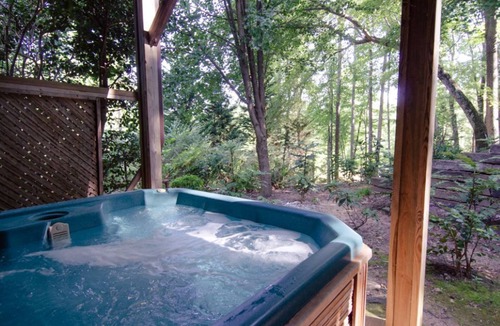 Skyland Cabin | Golf Fans Welcome! Private Cabin Near Asheville's PGA Event