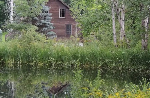 Owego Cabin | Greenwood At Entangled Acres - Log Cabin wWiFi on 16 Acre Animal Sanctuary