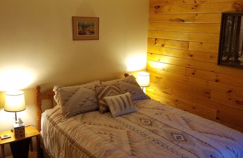 Town of Jerusalem Cabin | Grey's Getaway Cabin, Serene Finger Lake area, wine country ! Dog friendly!