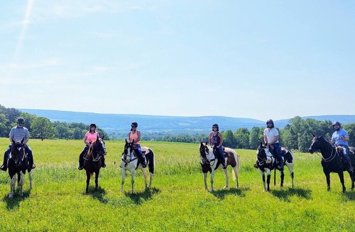 Portage Cottage | Guesthouse on working horse farm adjacent to Letchworth State Park