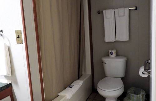 Royal Cabin | Hickory 21n