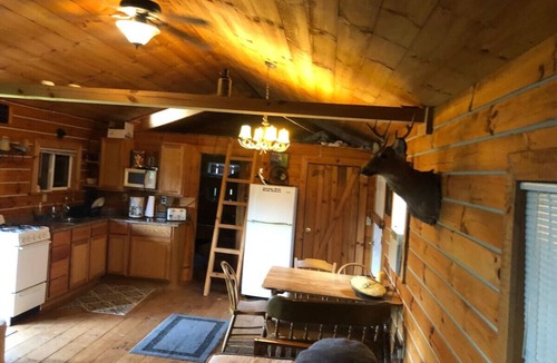Chandlersville Cabin | Hunting Cabin 65AC Zanesville Muskingum AEP WIFI&CELL SVC!