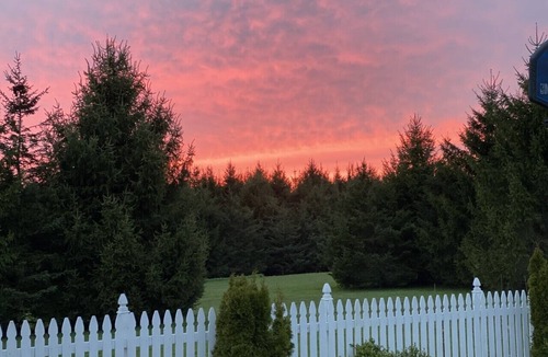 Bemus Point House | Idyllic Country Getaway 1 Mile from Bustling Bemus Point