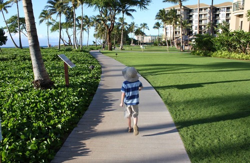 Honokowai Resort | 🌴Ka'anapali Beach Club Diamond Resorts✨ Experience Paradise in a 1 BR-Sleeps 4!