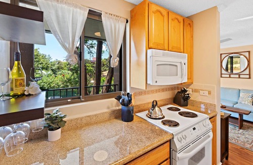 Kahana Condo | Kahana Manor 316: 1 BR, 1 BA Condominium in Lahaina, Sleeps 2