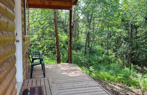 Cooper Landing Cabin | King Salmon Cabin - Cute Family Cabin at Eagle Landing Resort