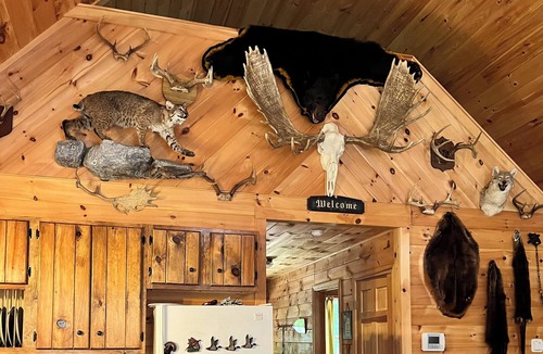 Denmark Cabin | Knotty pine log cabin - boating, fishing, ATV trails and hiking!