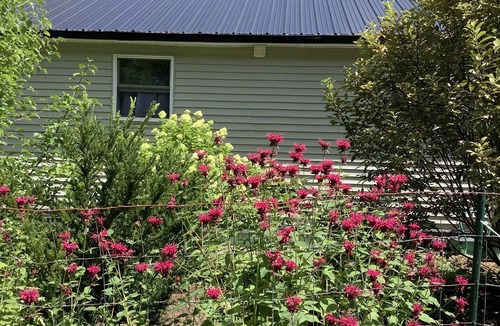 Ellsworth Cabin | Lake front home, and 15 minutes to Arcadia National Park