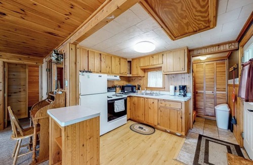 Greenville Cabin | Lake front home with privately shared dock for the homes in this complex