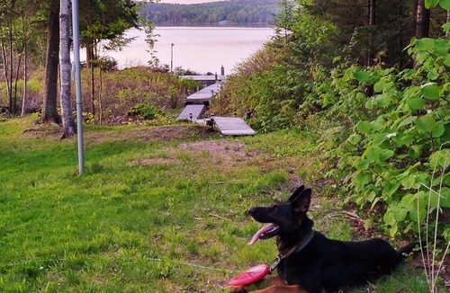 Averill Cabin | Lakefront Cabin in Vermont on Great Averill Lake in Averill, VT.
