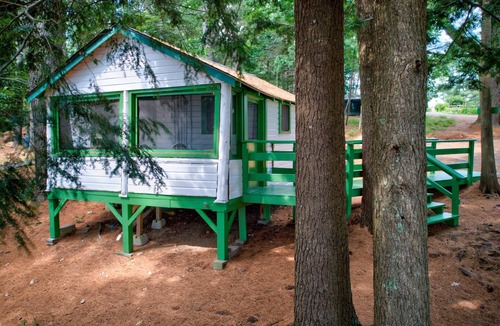 Orland Cabin | Lakefront Fiddlehead Tiny Cabin @ Getogether Stays