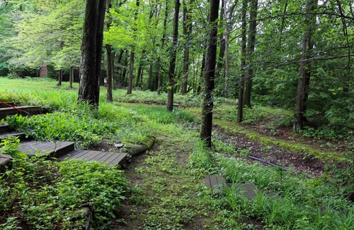 Erie House | Large home with hot tub in serene wooded setting