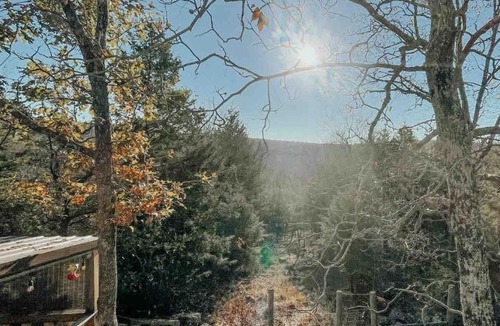 Park Hill Other | Little Piece of Heaven Cabin