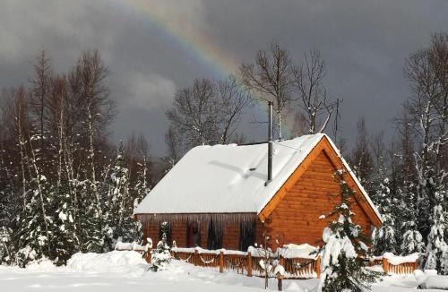 Carroll House | Log cabin 1 mile from skiing - 1800Bc