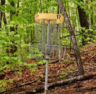 Stoneham House | Maine Treehouse-The Spruce Suite