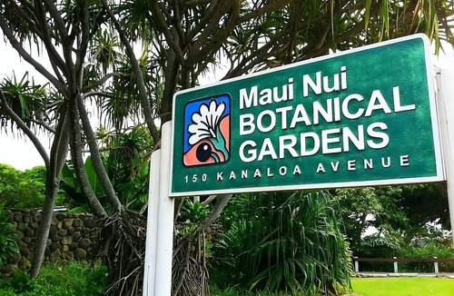 Kahului House | Maui Dream! 4 Units w/Garden Views, Minutes to Maui Nui Botanical Gardens!