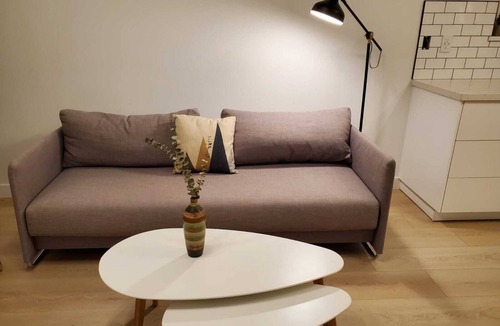 Mount Pleasant Apartment | Modern, spacious Main Street Guest Suite, 1 BR