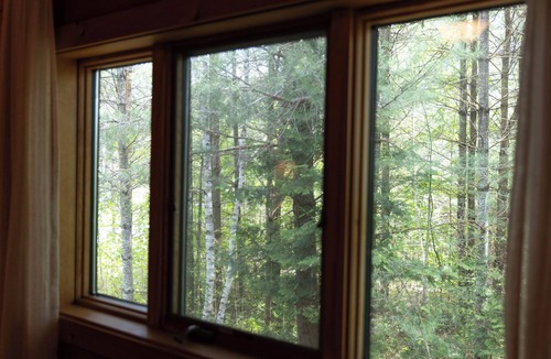 Schroon Lake Cabin | Modern Treetop Log Cabin in the Heart of Schroon Lake