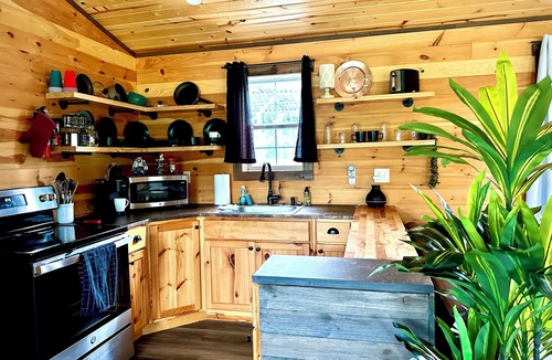 Marienville Cabin | Mossy at Forest Villas: Private Axe Pit, Swing Fire Pit & Pergola Retreat