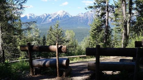 Golden Cabin | Mountain View Cabins