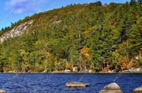 Waterford Apartment | Mountainview rental.surround yourself in the outdoors!