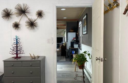 Oliverea Apartment | New- Cozy Tiny House with kitchenette firepit