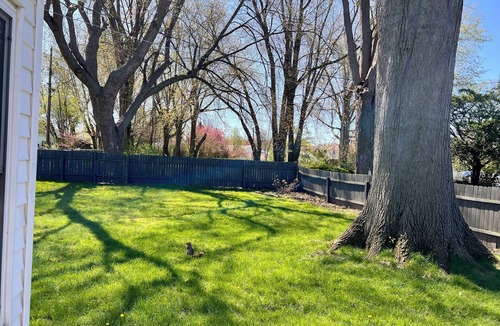 Erie House | NEW Lakeside Cottage- Lake view and beach nearby!