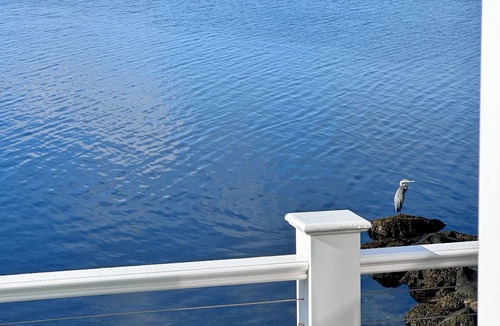 Narragansett House | NEW OCEAN WATERFRONT HOME With Private Dock and Cabin, SPECTACULAR VIEWS!