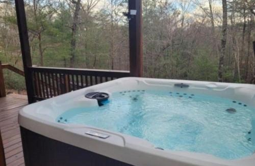 Blue Ridge House | No Agenda Cabin Pet Friendly Blue Ridge cabin
