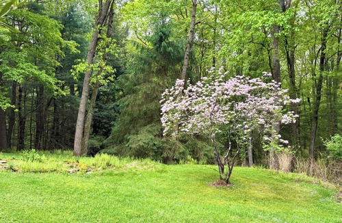 Sigel Cottage | Northwoods Ln Cottage in Clear Creek by Tranquility Retreats