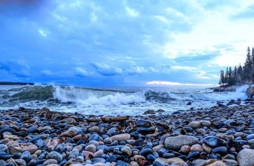 Prospect Harbor House | Oceanfront Crackling Cove Cottage Family firer pit slleeps 6