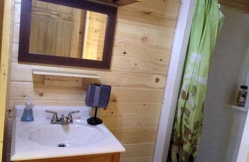 Dalton Cabin | Off-The-Grid Cabin Rental with Old-Fashioned Charm near Letchworth State Park, NY