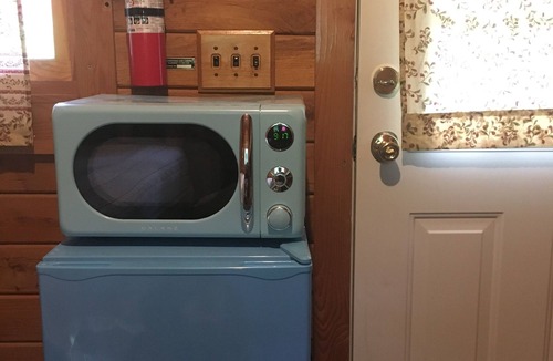 Dryden Cabin | One Room Log Cabin in beautiful Woodland Campground