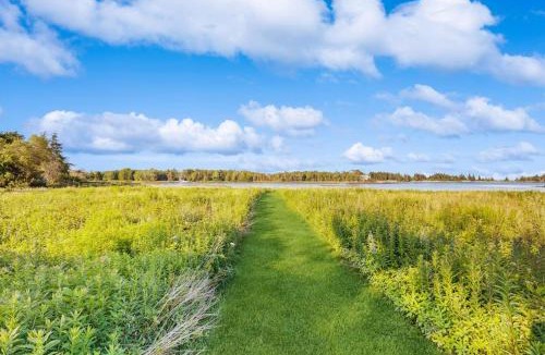 Owls Head House | Peaceful coastal cabin with screened porch, water view of the cove, dog-friendly