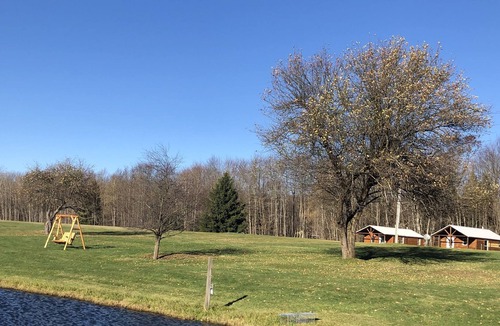 Bemus Point Cottage | Private cabin on acreage Bemus point Chautauqua New York