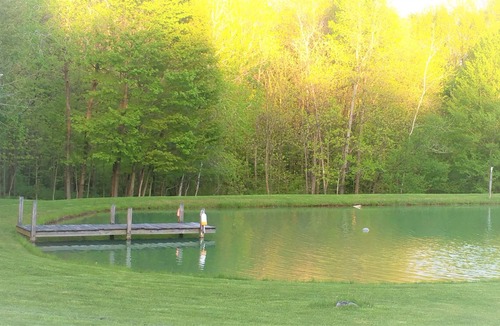 Kingsville Cottage | Private Cottage on Bear Creek 100 acre Farm- hiking ,covered bridges,wineries