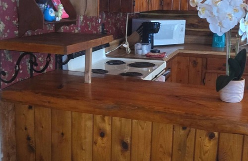 Olmstedville Cabin | Private Family Friendly, views of adk mountains! 15 min away from Gore Mountain!