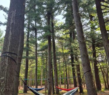 Amherst House | Private Secluded House 12 ac Nature Forest Retreat
