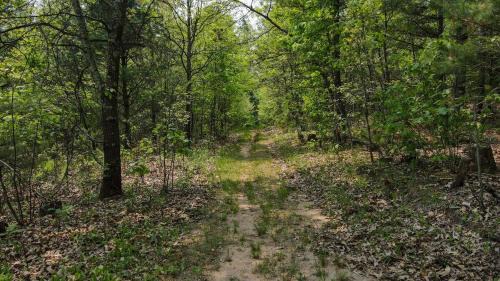 Amherst House | Private Secluded House 12 ac Nature Forest Retreat