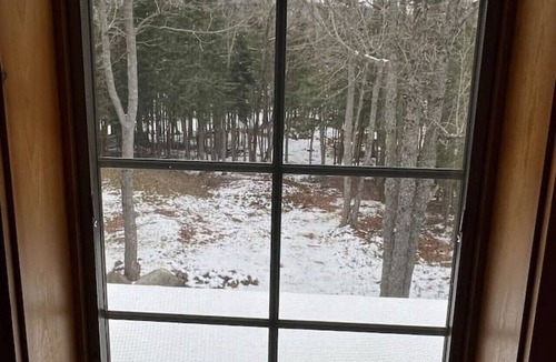 Greenville Cabin | Prong Pond Cabin*Water Access*Pet Friendly*ATV Access