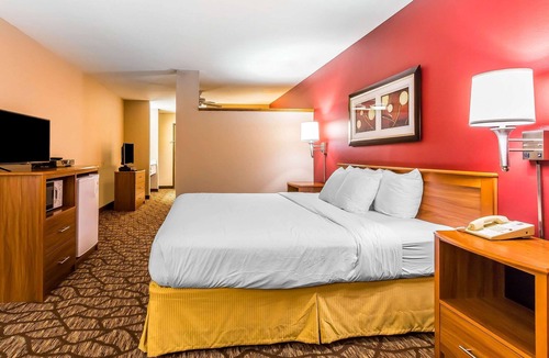 Springfield Hotel | Quality Inn & Suites