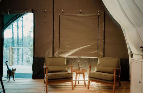 McIntosh Other | Quiet Escape Beneath New Mexico Skies