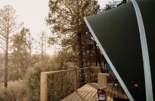 McIntosh Other | Quiet Escape Beneath New Mexico Skies
