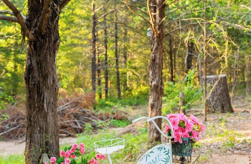 Honey Grove Apartment | Reconnect with nature at this unforgettable escape.