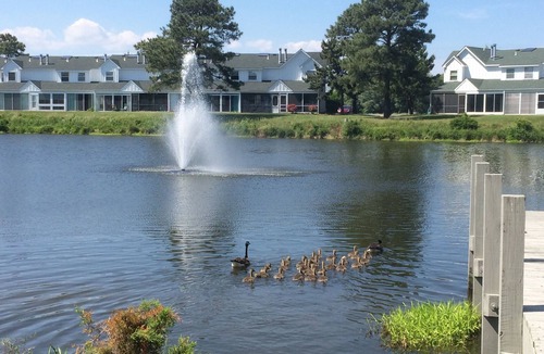 Selbyville House | Relaxing Townhome minutes from beach. Prime SUMMER weeks available!