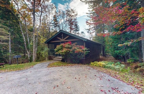 Northport Cabin | Relaxing two-bedroom dog-friendly cabin with fireplace, AC, hiking & fun